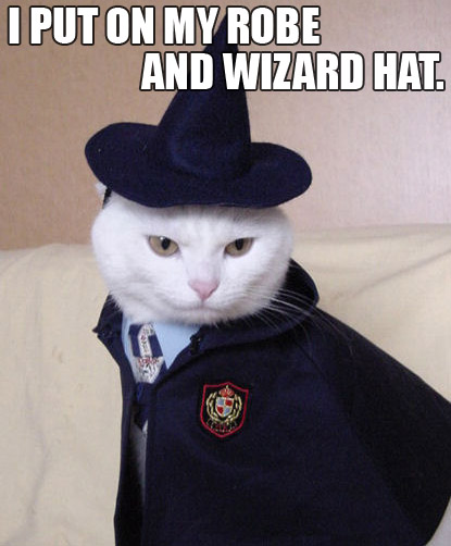 wizard cat.jpg (82 KB)